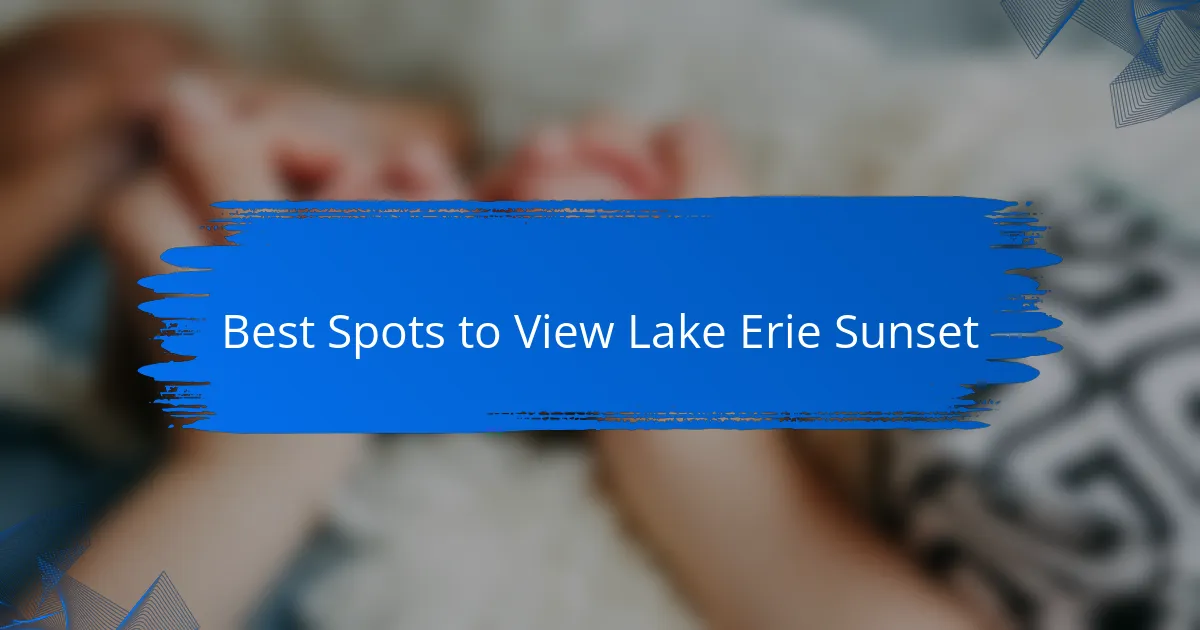 Best Spots to View Lake Erie Sunset