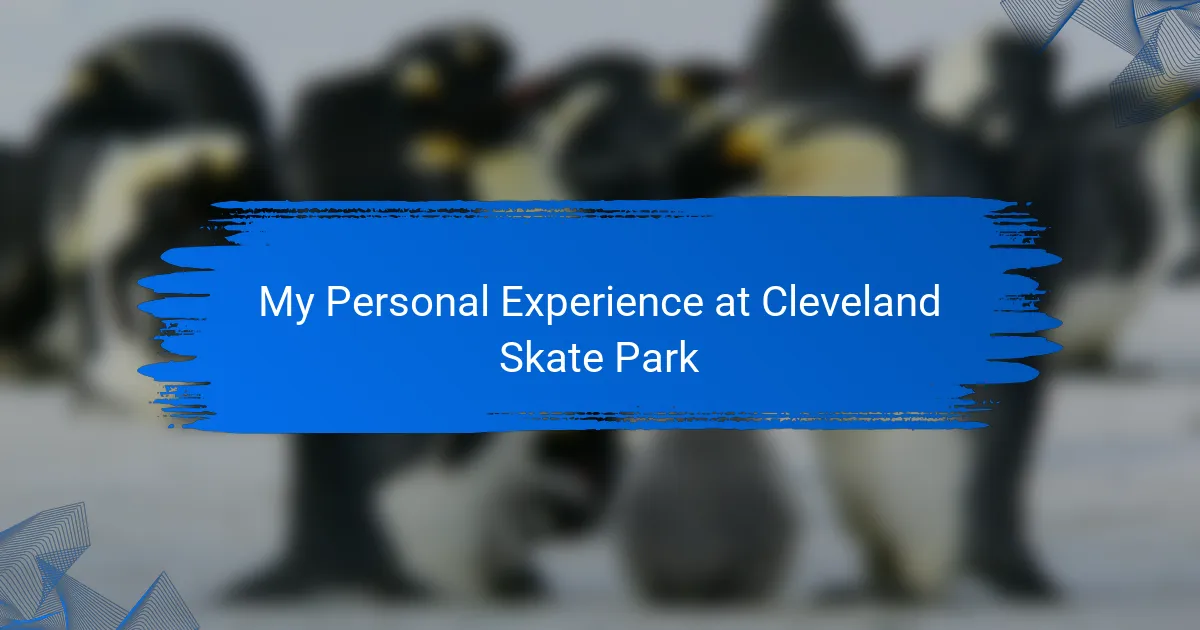 My Personal Experience at Cleveland Skate Park