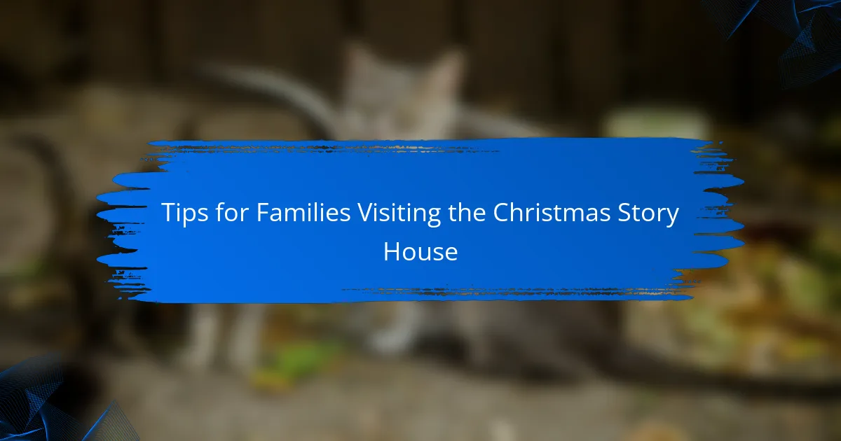 Tips for Families Visiting the Christmas Story House